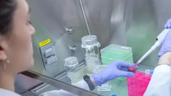 Detectan bocavirus que provoca infecciones respiratorias graves