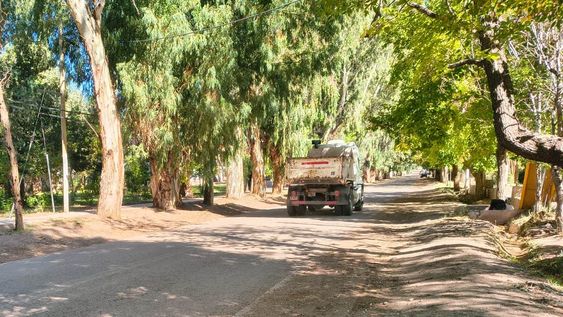 Vecinos de Barreal temen por la alta velocidad con la que transitan los vehículos por Calle San Martín y que le ocasionó la muerte a varias mascotas.