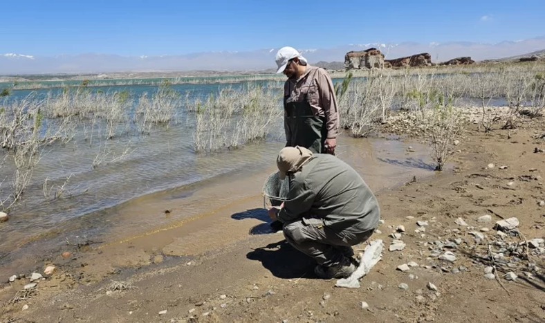 La UFI Norte cerró la causa por los peces muertos en Cuesta del Viento: no se constató delito