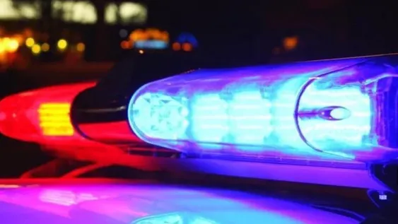 Una nena corrió a pedir auxilio y salvó a su mamá que era azotada con un cable por su papá