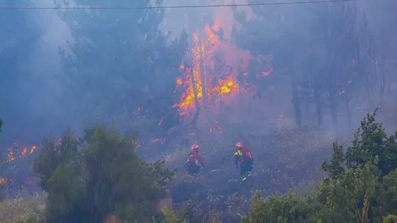 Mapuches se adjudican haber iniciado el incendio en El Hoyo