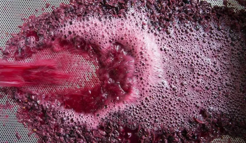 Vino a granel, vedette del inicio de año.