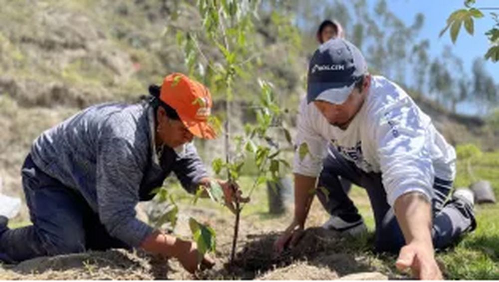 La reforestación de San Juan debe ser prioridad