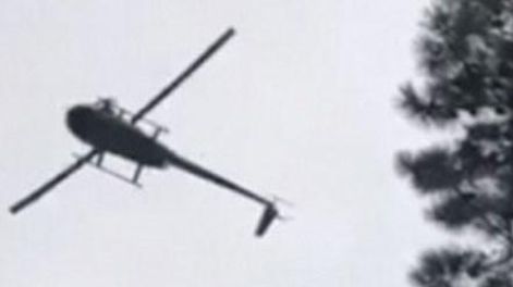 Tiraron un cerdo desde un helicóptero a una pileta y generaron indignación
