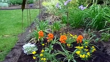 Diario de Cuyo | jardin_3_crop1581858996406 728x546.webp