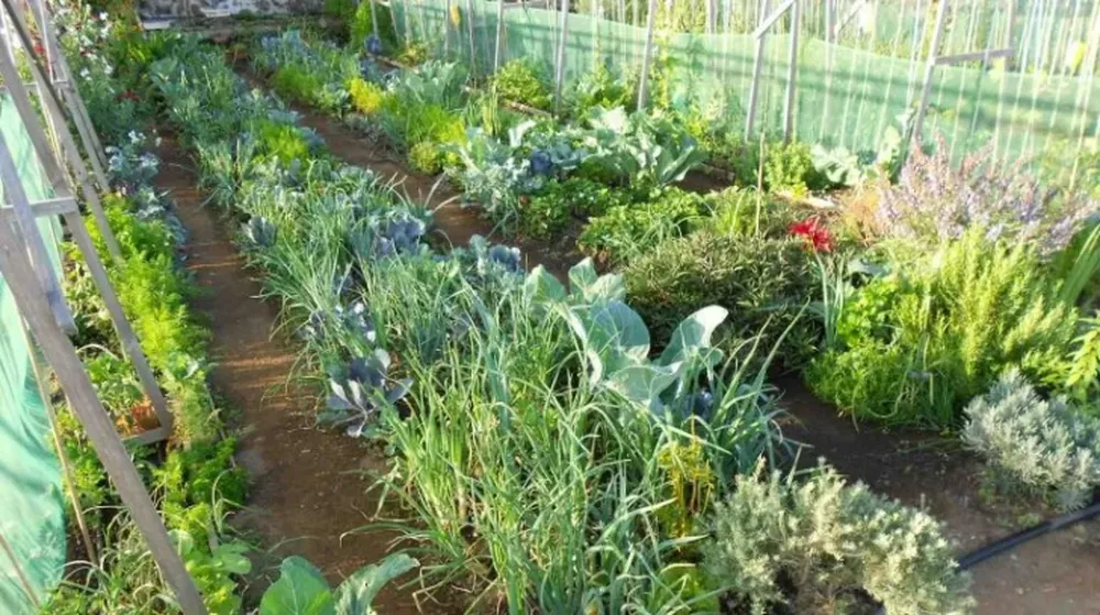 La crisis alimentaria global no es ajena a nuestra provincia