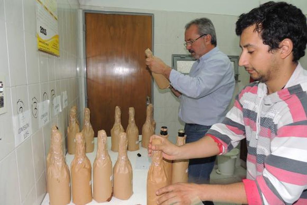 Hoy develan el vino ganador de entre 336 muestras del país