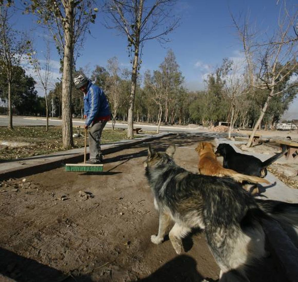 Se viene el polideportivo de las catorce disciplinas