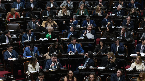 Lainiciativa obtuvo media sanción con 138 votos afirmativos, 96 negativos y nueveabstenciones