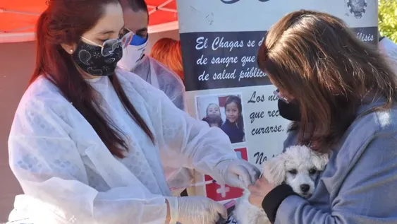 Vacunación y limpieza en Rawson