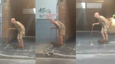 Juntos a la par: el lento caminar de un abuelo y su perro