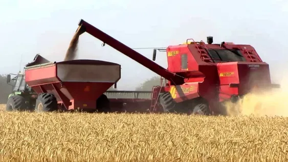 Anticipan un mercado global que ayudará a la recuperación de la economía en el país