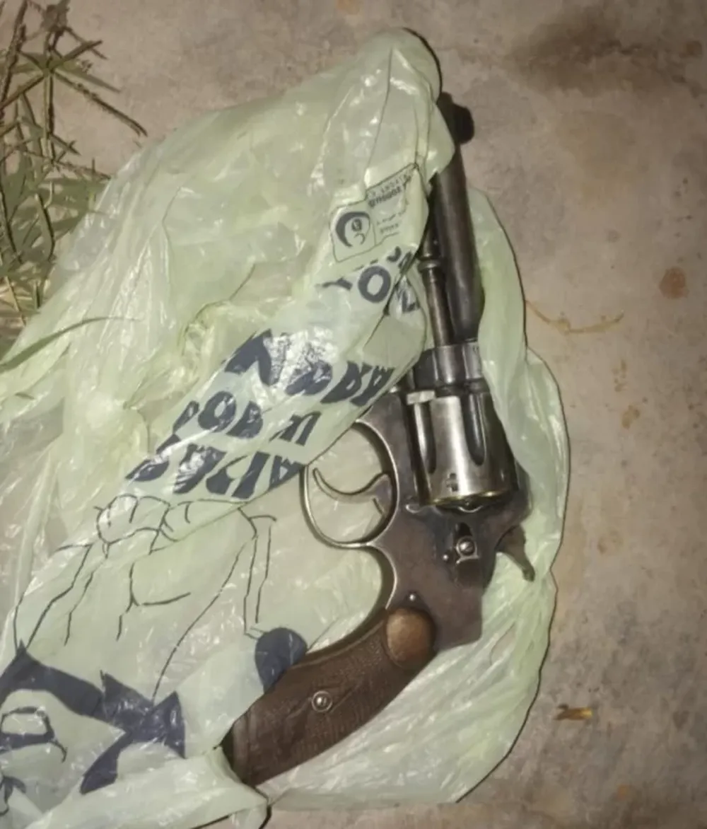 Un hombre festejó la primavera a los tiros: lanzó disparos al aire y terminó detenido