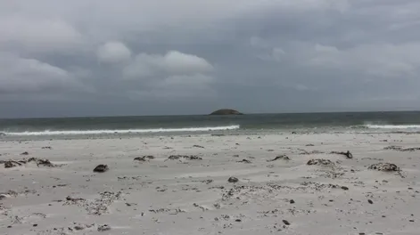 Diario de Cuyo | img_3979 728x485.webp