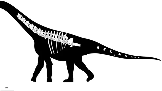 Bicharracosaurus.-