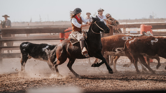 v expo paterno: san juan vuelve a ser escenario del gran encuentro nacional del caballo criollo