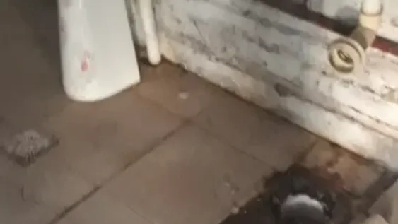 Pusieron cámaras porque ya sufrieron más de 10 robos, y se las llevaron