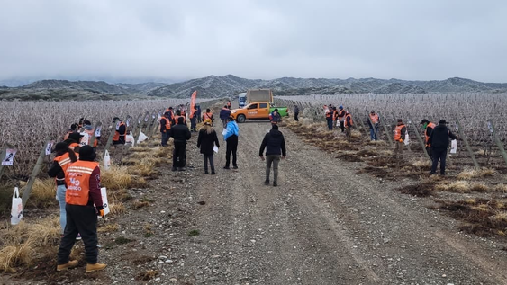 concurso provincial de poda de vid: 42 competidores, temperaturas bajo cero y una camaraderia que se vivio entre vinedos