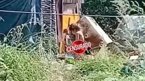 Horror en La Matanza por el caso del nene de 3 años atado. Detuvieron al padre y se despachó con un insólito relato.&nbsp;