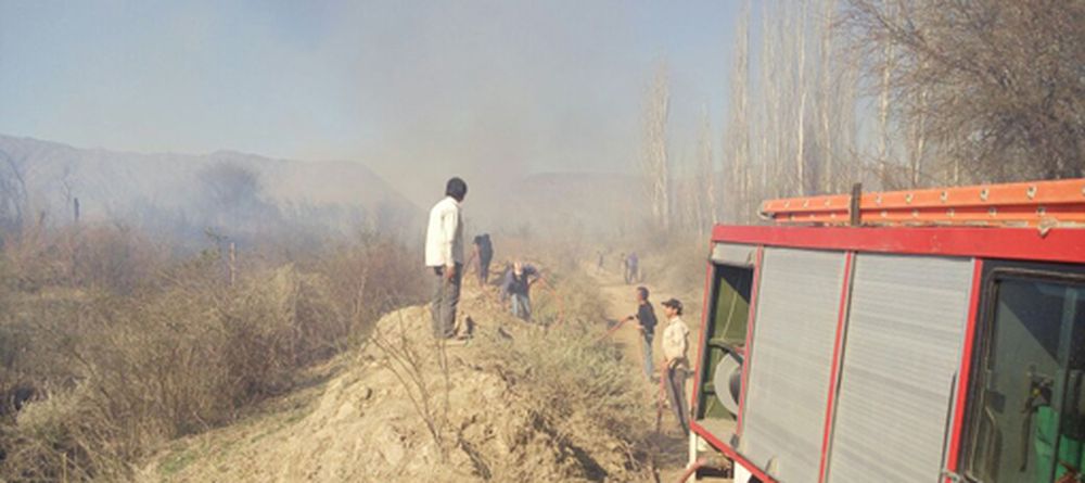 Defecó en un bosque, quemó el papel higiénico y provocó un incendio forestal