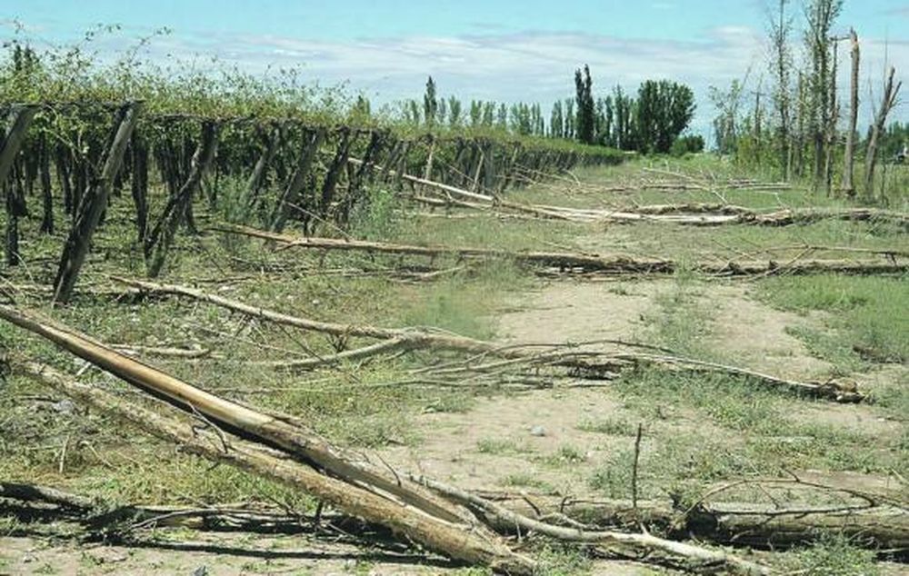 El “Fenómeno del Niño” pegó fuerte en San Juan