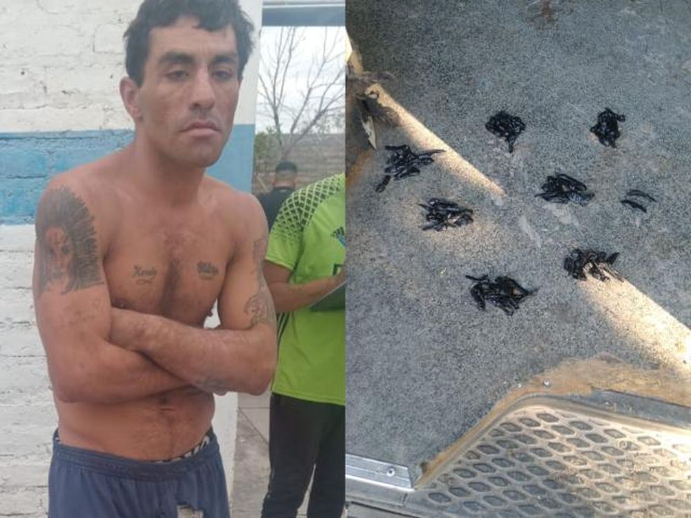 Detuvieron a un sujeto con 72 envoltorios de cocaína