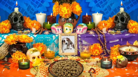 dia de los muertos 2026: fechas, que significa cada dia y como armar un altar para recordar a los tuyos