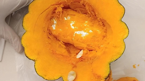 Un zapallo con sorpresa en el Penal de Chimbas: intentó ingresar un celular escondido en una calabaza
