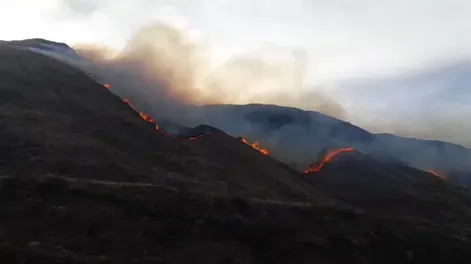 En el terreno trabajan más de 60 personas de manera coordinada para lograr combatir el fuego.