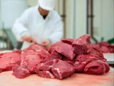 El consumo de carne bajó en Argentina. El consumo de carne bajó en Argentina.
