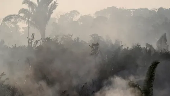 [EN VIVO] El humo del Amazonas avanza sobre Argentina y llegó a San Juan
