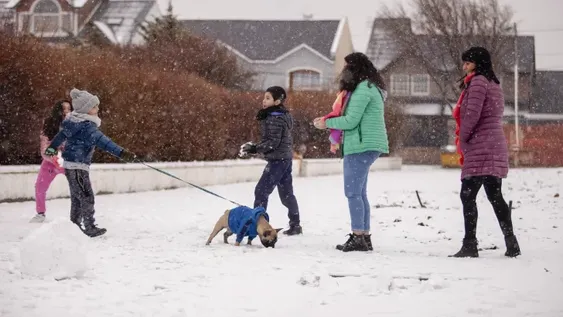 Disfrute con la nieve en Río Gallegos