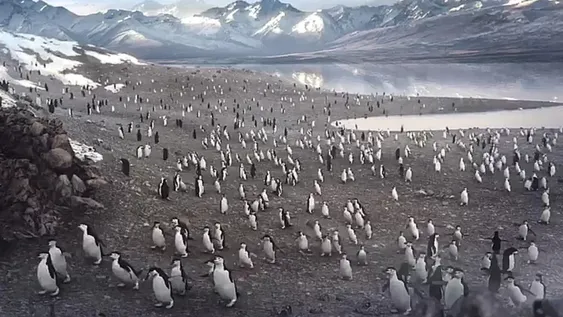 Enólogos, con tapones de punta por la publicidad de vinos de cervecera