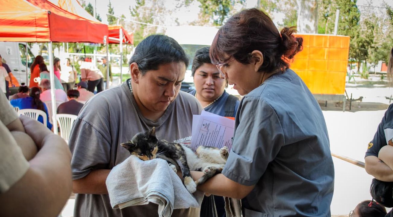 Ambiente organizó diferentes actividades para celebrar el Día del Animal. Ambiente organizó diferentes actividades para celebrar el Día del Animal.