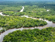 hallazgo historico en la amazonia: descubren mas de 20 mil estructuras de una civilizacion perdida