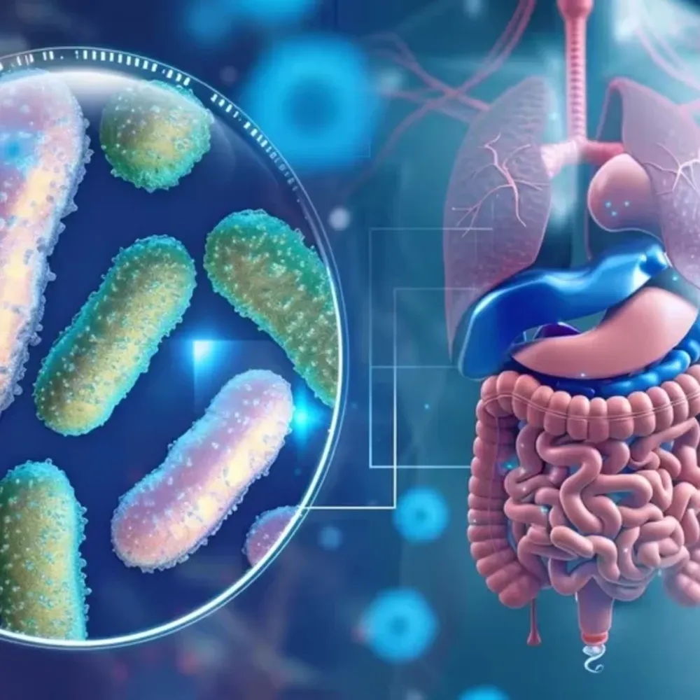 ¿Toda enfermedad empieza en el intestino?