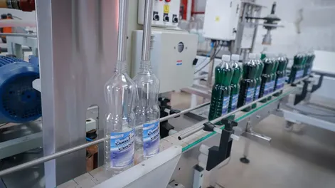 Algunas empresas lograron invertir en líneas nuevas, pero el mayor golpe fue la baja del consumo.