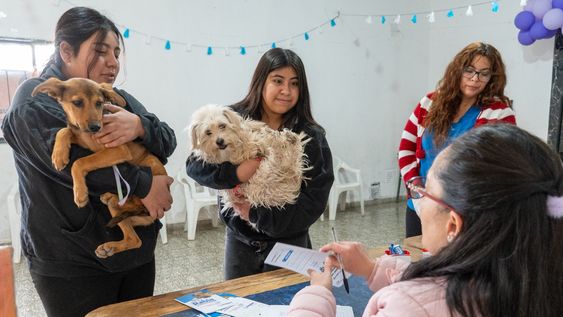 Rawson lanza un nuevo programa de servicios itinerante que incluye desde vacunación para mascotas hasta venta de gas más barato.