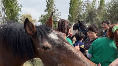 Alumnos de la Facultad de Ciencias Médicas&nbsp; la UCCuyo se capacitaron en equinoterapia.
