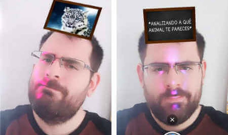 Cómo usar “A qué animal te parecés”, el filtro de moda en Instagram