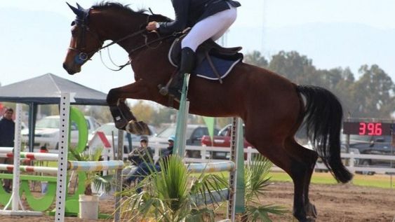 ACCIÓN. El Jockey vivirá uno de sus torneos  históricos.