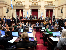 Tras la media sanción, el proyecto será girado hacia Diputados (Comunicación Institucional Senado).