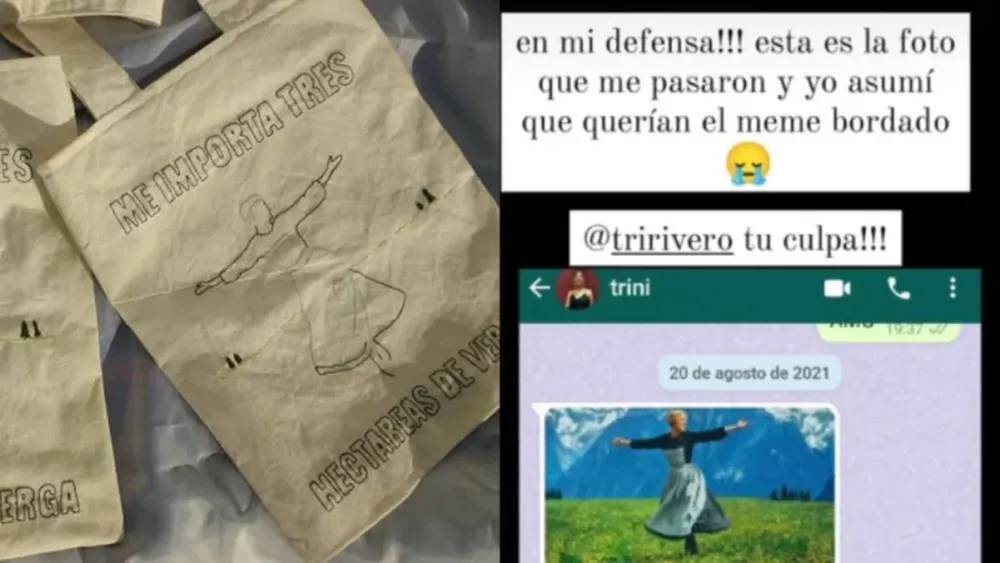 El insólito error de una emprendedora al bordar bolsas sobre “La Novicia Rebelde”