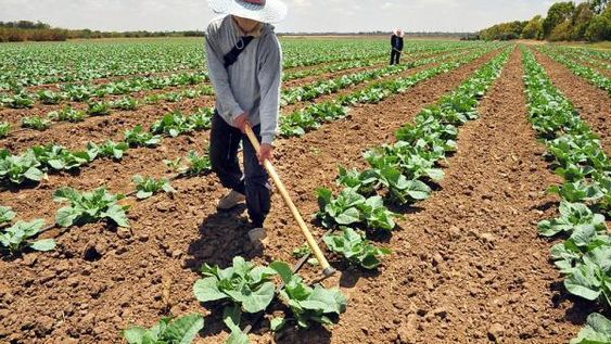 Según el Indec, el Producto Interno Bruto cayó 2,2 % en 2019
