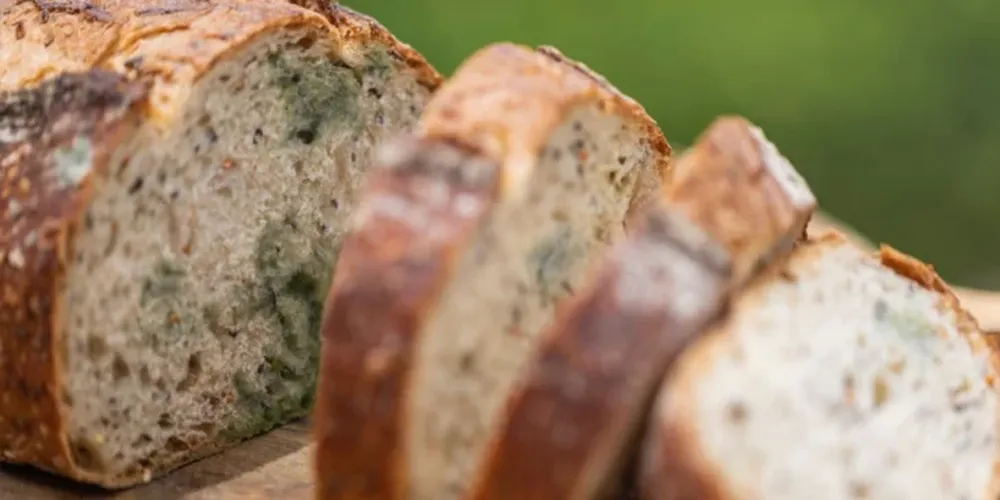 El peligro de sacar la parte podrida de la comida y comer el resto