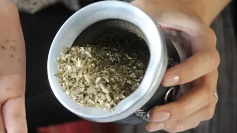 En el día del mate, 13 formas de tomarlo