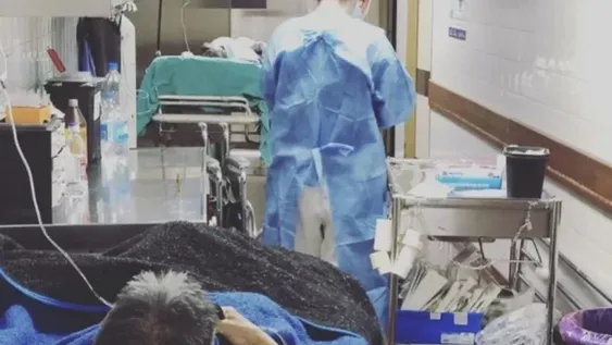 Polémica en Neuquén por supuesta orden para dejar morir a un hombre