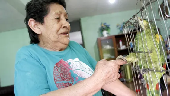 Le robaron su loro, luego de 15 días lo recuperó y gracias a eso volvió a reir