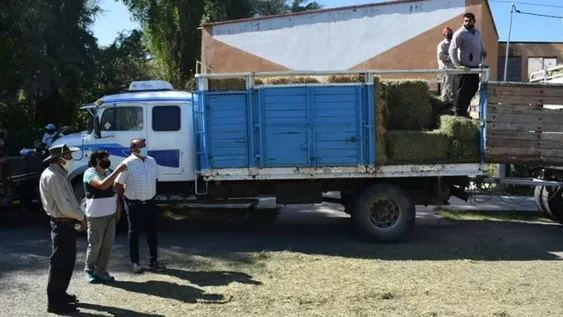 Continua la entrega de fardos de pasto a ganaderos de Valle Fértil