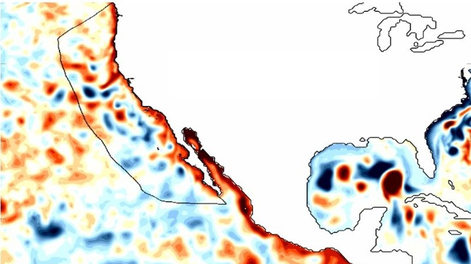 Las ondas Kelvin atrapadas en la costa, un rasgo característico de El Niño, se desplazaron hacia el norte a lo largo de la costa oeste durante el fenómeno de El Niño de 1997/1998, como se muestra en un mapa de anomalías en la altura de la superficie del mar. Foto: NOAA.